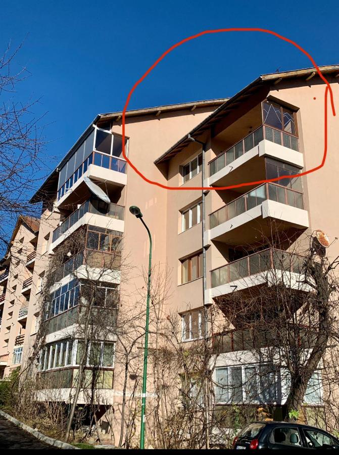 Viktory Daire Braşov Dış mekan fotoğraf